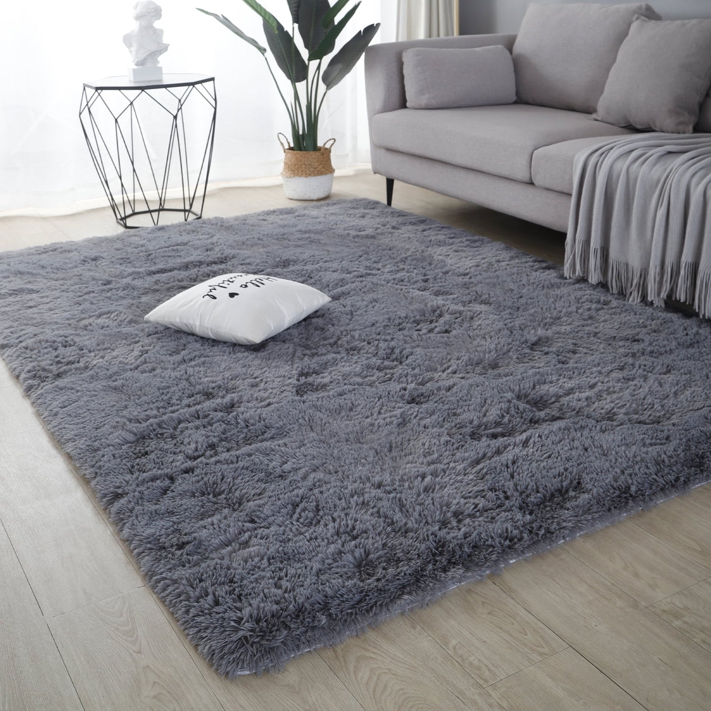 5ft x 8ft Large Shaggy Area Rugs for Bedroom Living Room, Gray Fluffy Shag Rug Plush Decorative Rug Fuzzy Soft Modern Carpet for Indoor Home Floor